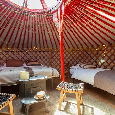 Hobo Camping Courmayeur Exteriér fotografie