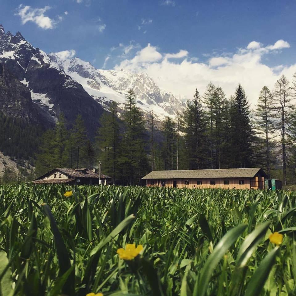 Hobo Camping Courmayeur Exteriér fotografie