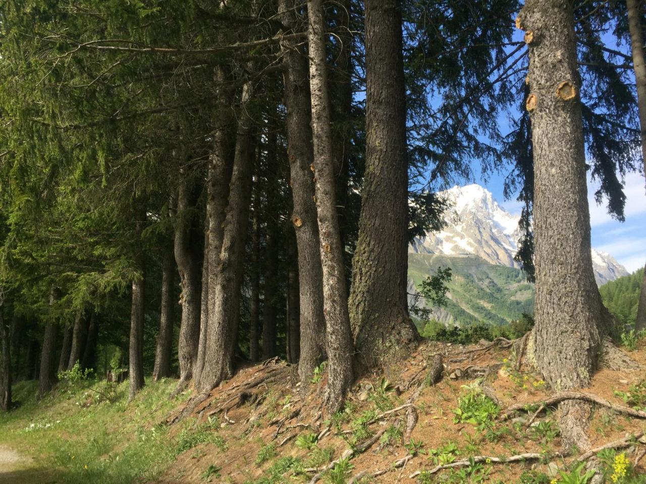 Hobo Camping Courmayeur Exteriér fotografie